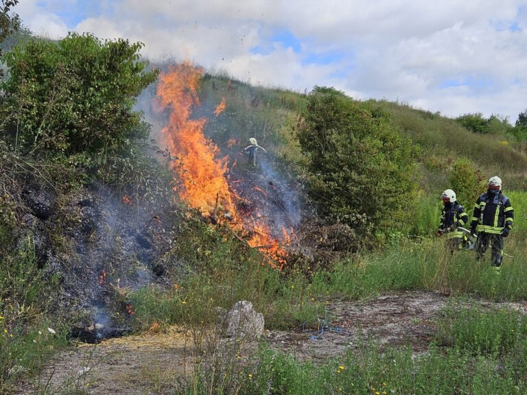 Waldbrand Feuerwehreinsatz