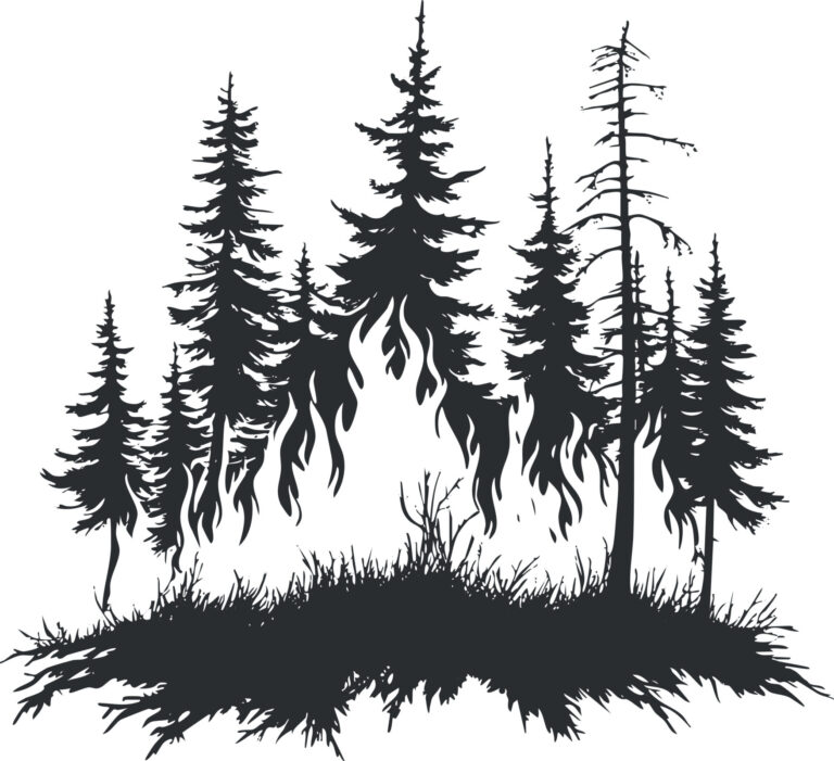 Waldbrand Silhouette